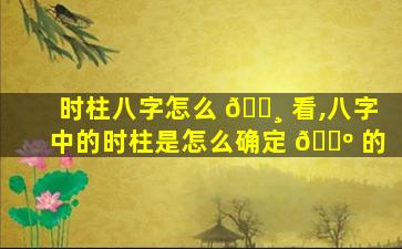 时柱八字怎么 🕸 看,八字中的时柱是怎么确定 🌺 的